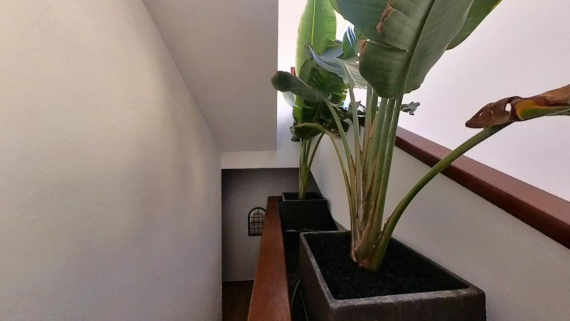 Myhome Urban Apartments Puerto del Rosario  Ngoại thất bức ảnh
